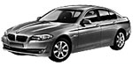 BMW F10 P1005 Fault Code